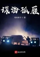 谍海孤鹰txt