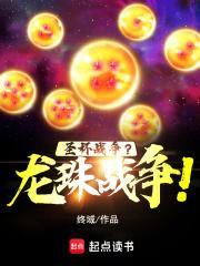 圣杯战争?龙珠战争!作者终域