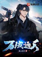 空姐背后二维码