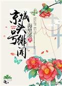 京城头号绯闻txt