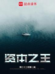 资本之王起点