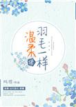 我的温柔像羽毛