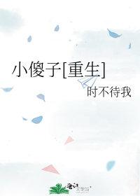 小傻子重生记动漫