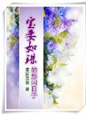 宝妻的全部