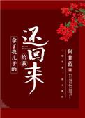 拿了我儿子的给我还回来免费阅读