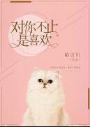 对你不止是喜欢的
