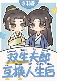 双生夫郎互换人生后_羽春
