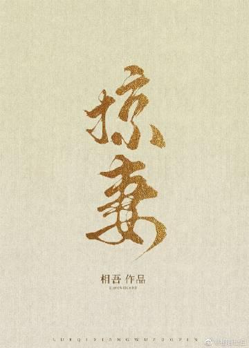 掠妻 谢明庭免费笔趣阁20章