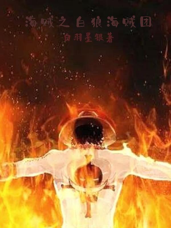 海贼之白夜叉