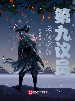 双城之战第九议员