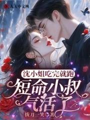 沈小姐是什么电视剧