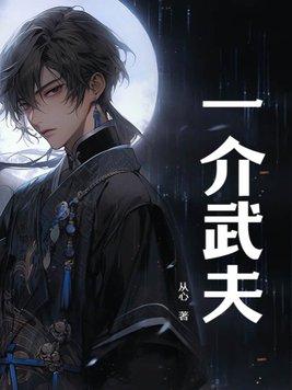 一介武夫免费阅读