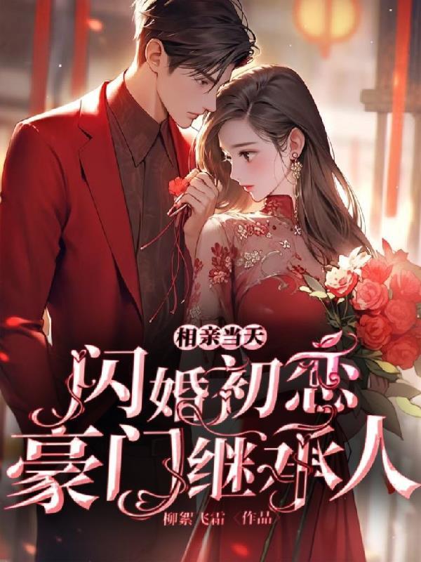 相亲当天 豪门继承人拉我领证