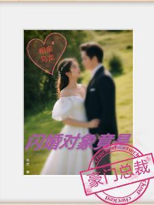 相亲闪婚系