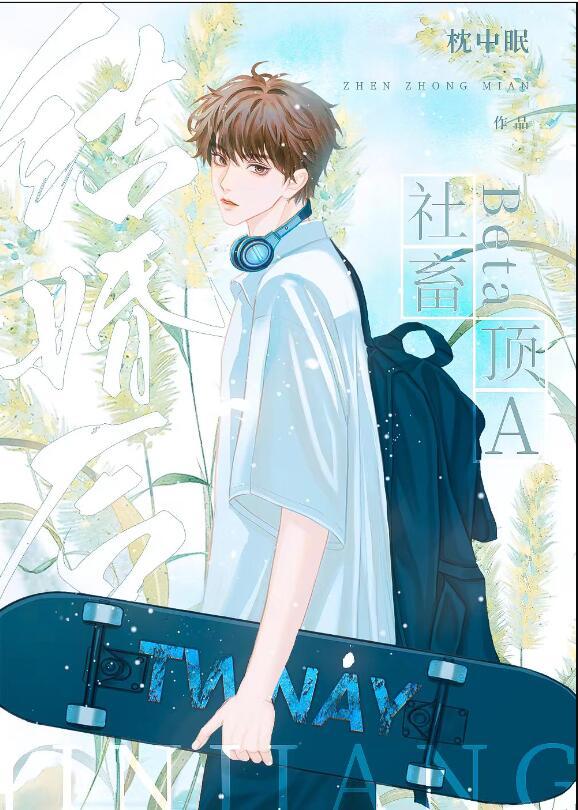 社畜beta和顶a结婚后免费观看