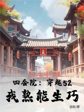 穿越电视剧四合院