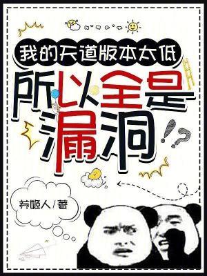 所以全是漏洞无防盗