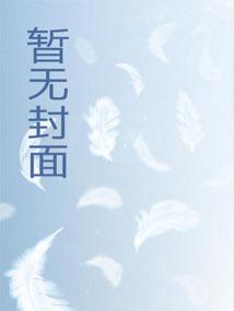 电视剧圣道