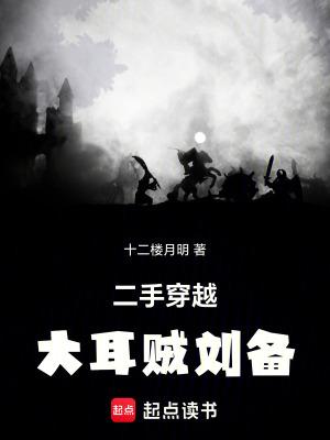 二手穿越大耳贼刘备笔趣阁