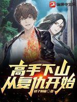 高手下山完整版