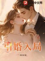 引婚入局免费阅读