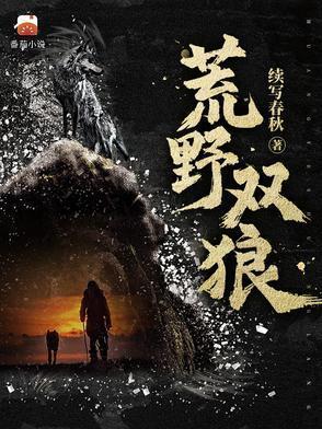 荒野双狼第二部