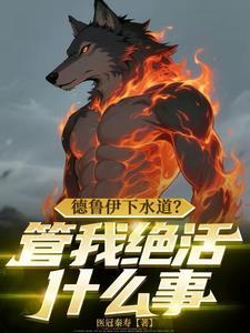 tbc德鲁伊wa