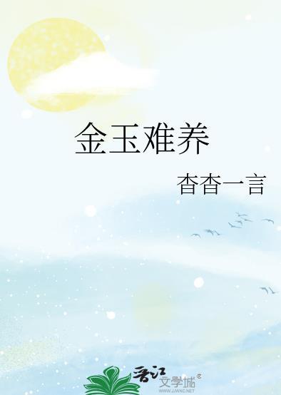 金玉难养第一次在第几章