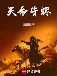 天命皆烬无弹窗