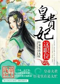 皇贵妃这职位作者浅墨