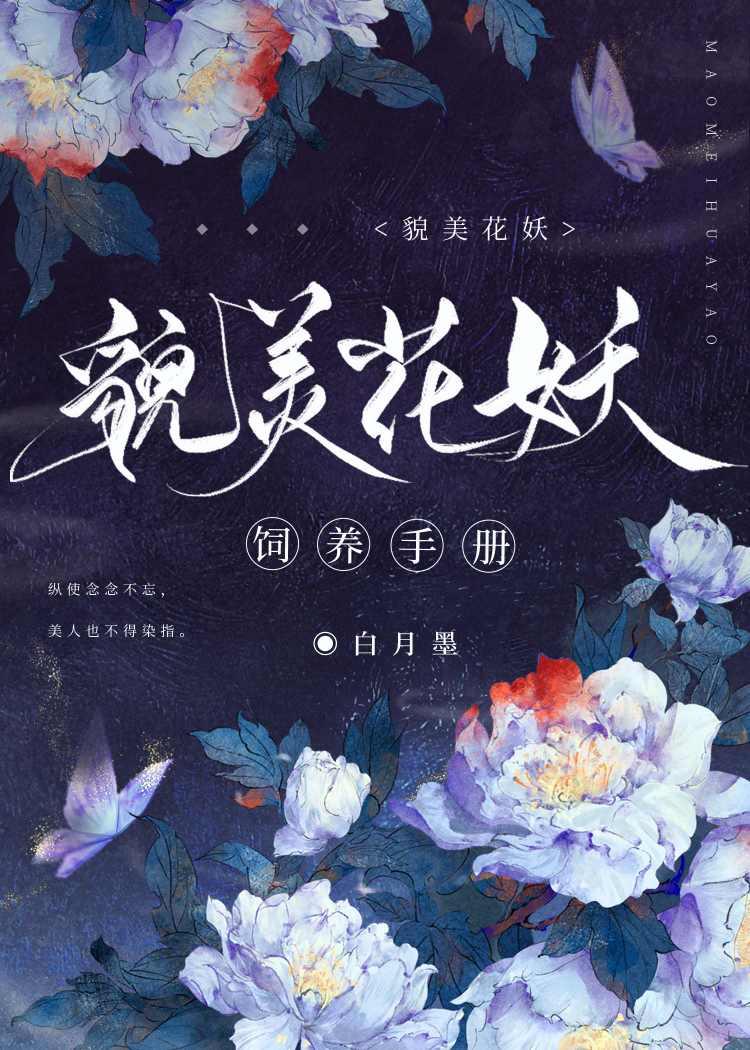 [综穿
