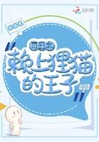 网球王子之赖上越前龙马
