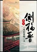 重生侧福晋耿氏